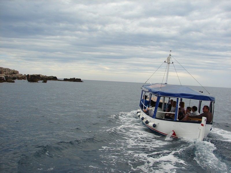 DSC08958.jpg