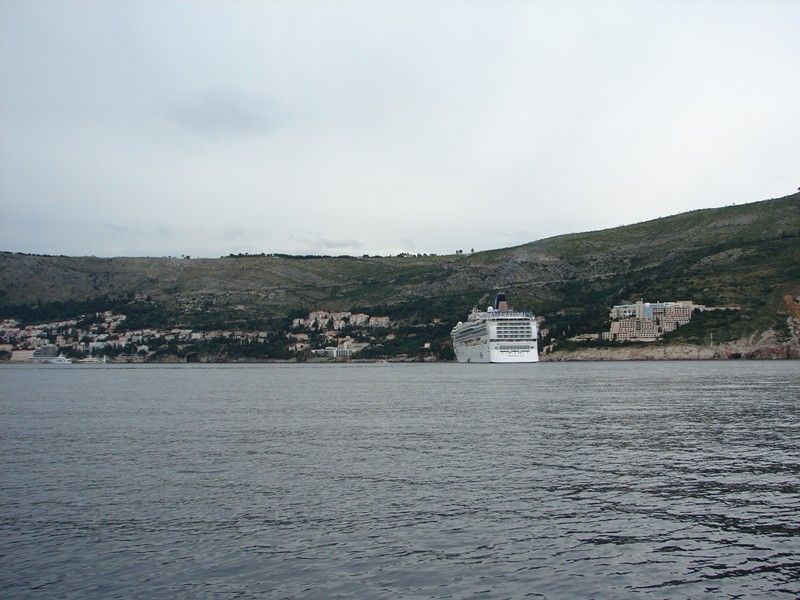 DSC08979.jpg