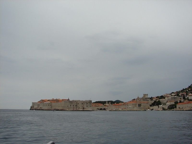 DSC09009.jpg