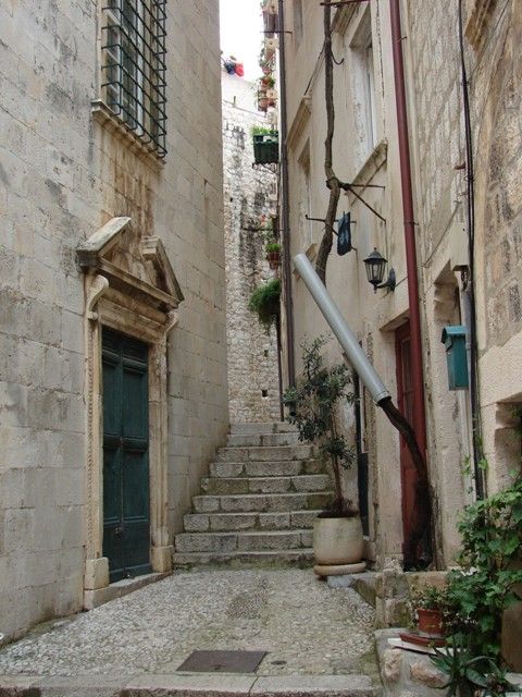 DSC09035.jpg