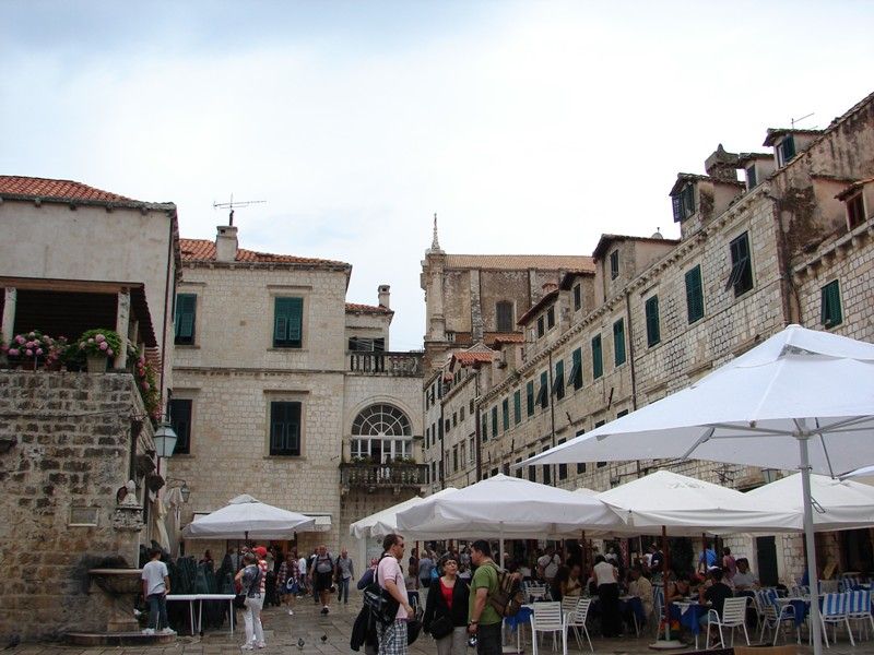 DSC09054.jpg