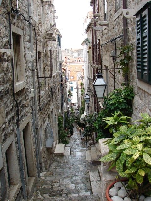 DSC09072.jpg