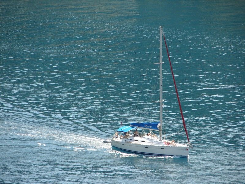 DSC09178.jpg