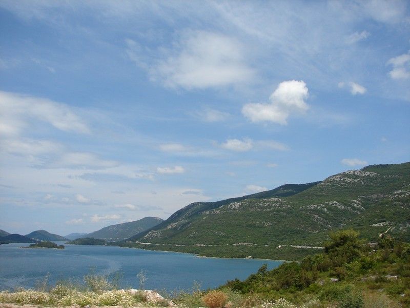 DSC09190.jpg