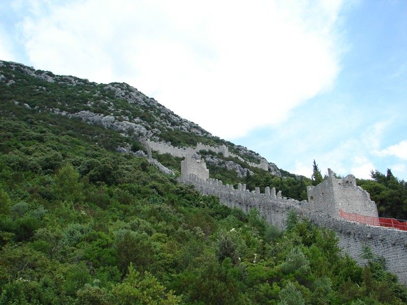 DSC09229.jpg