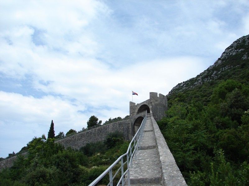 DSC09230.jpg