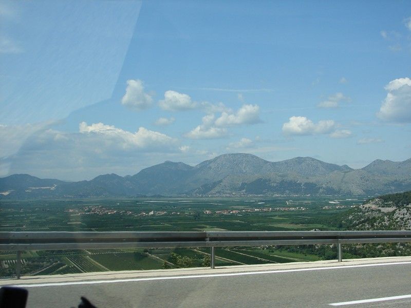 DSC09305.jpg