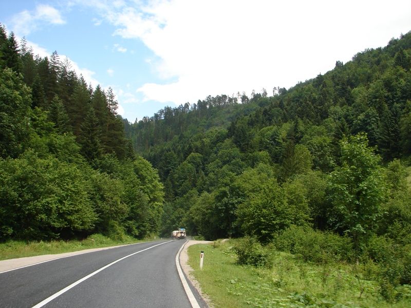 DSC09508.jpg