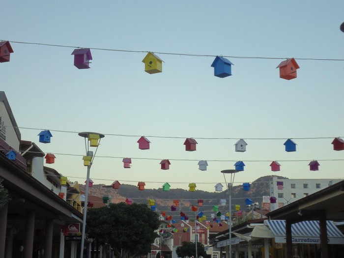 DSC09895.JPG