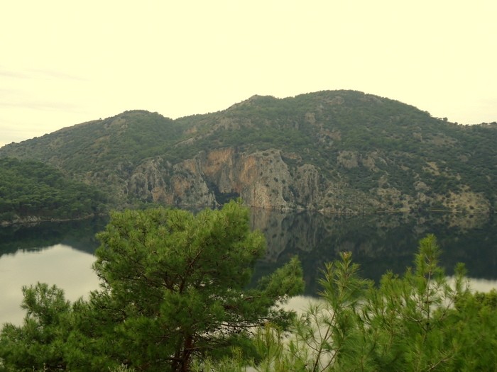 DSC09900.JPG