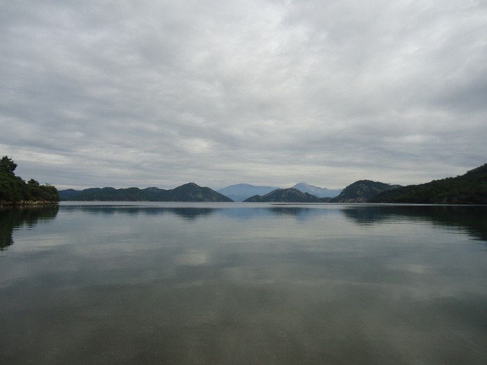 DSC09907.JPG