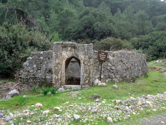 DSC09910.JPG