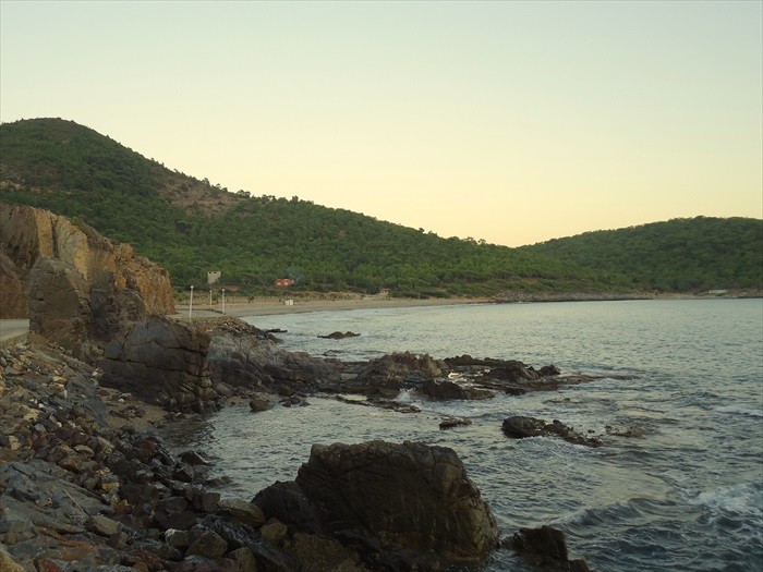 DSC09918.JPG