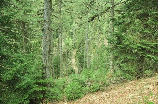 DSC_0001.jpg