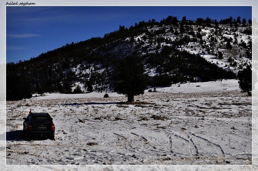 DSC_0003 [800x600].jpg