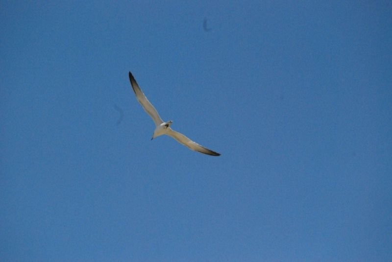 DSC_0004.jpg