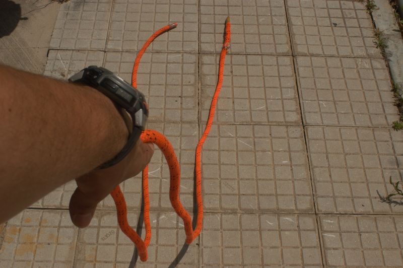 DSC_0005.jpg