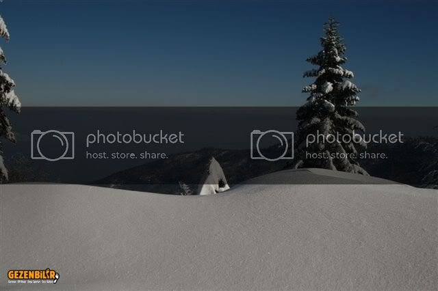 DSC_0006.jpg