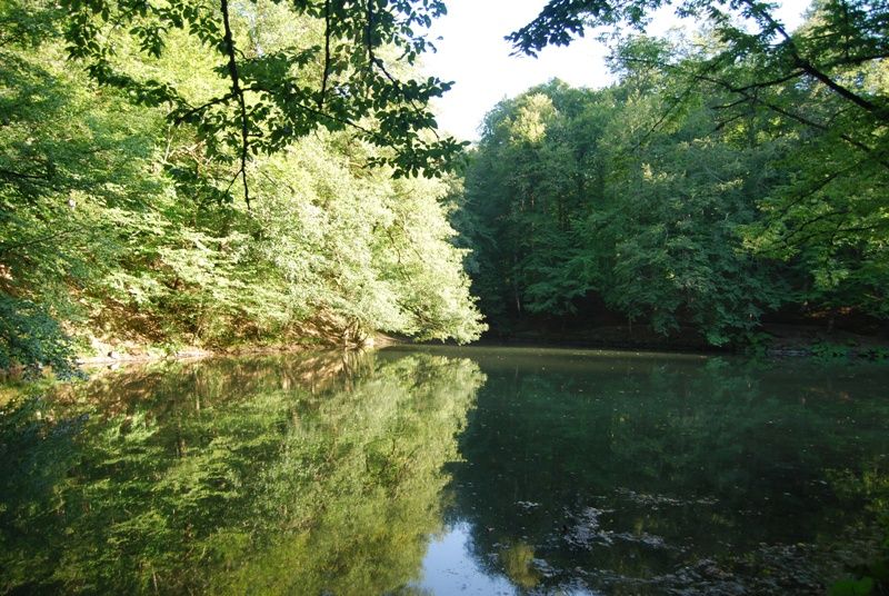DSC_0007.jpg