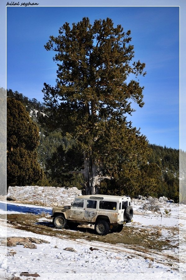 DSC_0008 [800x600].jpg