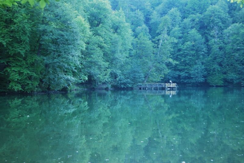 DSC_0008.jpg