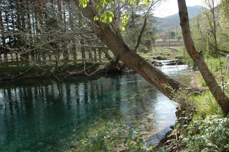 DSC_0011.jpg