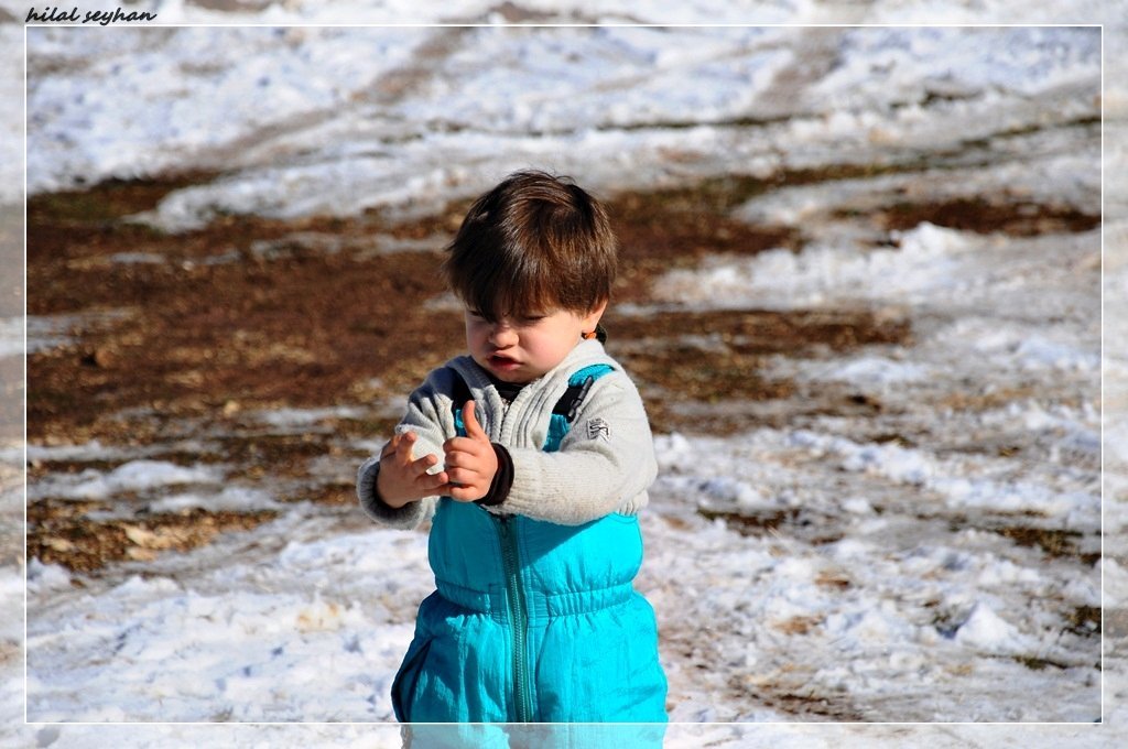 DSC_0013 [800x600].jpg