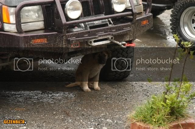DSC_0013.jpg