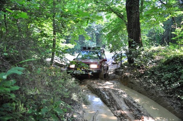 DSC_0016.jpg