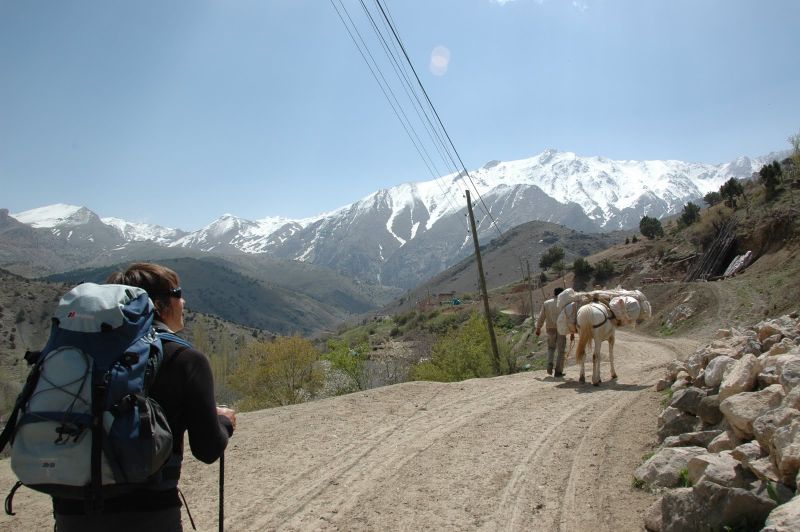 DSC_0020.jpg