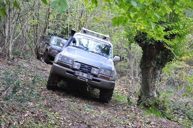DSC_0024.jpg