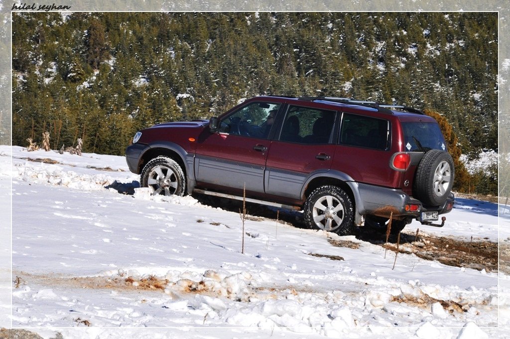 DSC_0025 [800x600].jpg