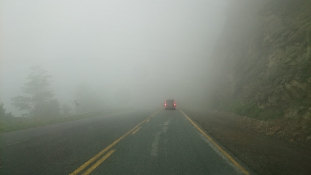 DSC_0026_2.JPG