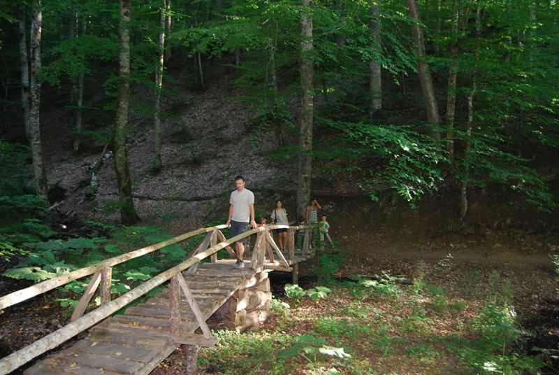 DSC_0027.jpg