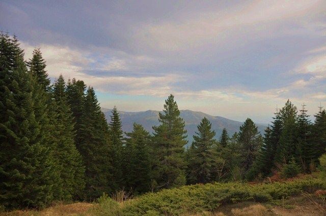 DSC_0029.jpg