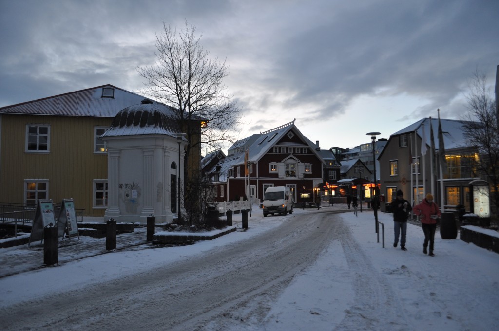 DSC_0031.JPG