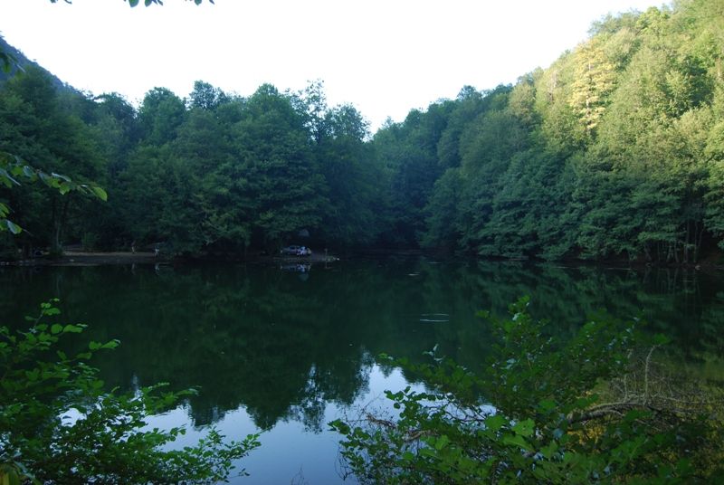 DSC_0032.jpg