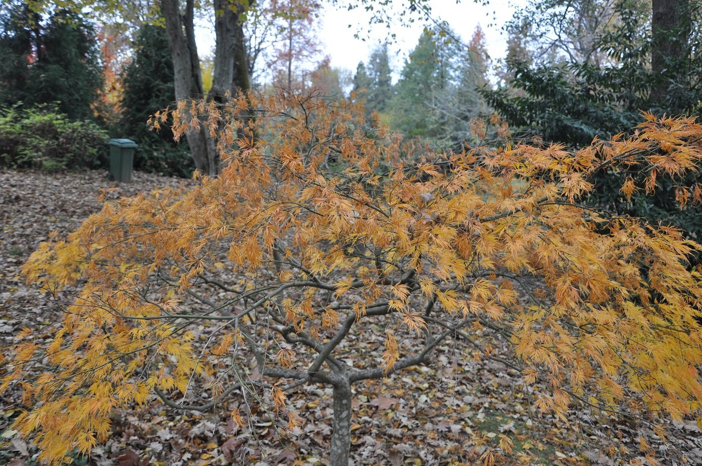 DSC_0032..jpg