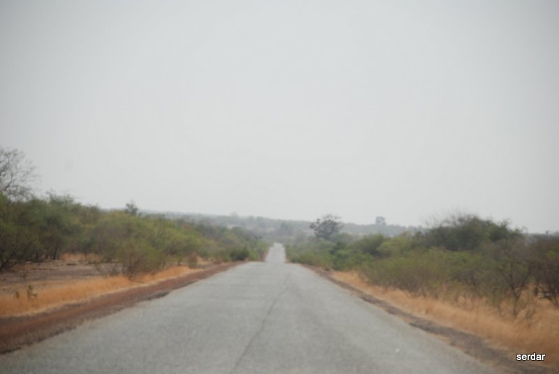 DSC_0034.jpg