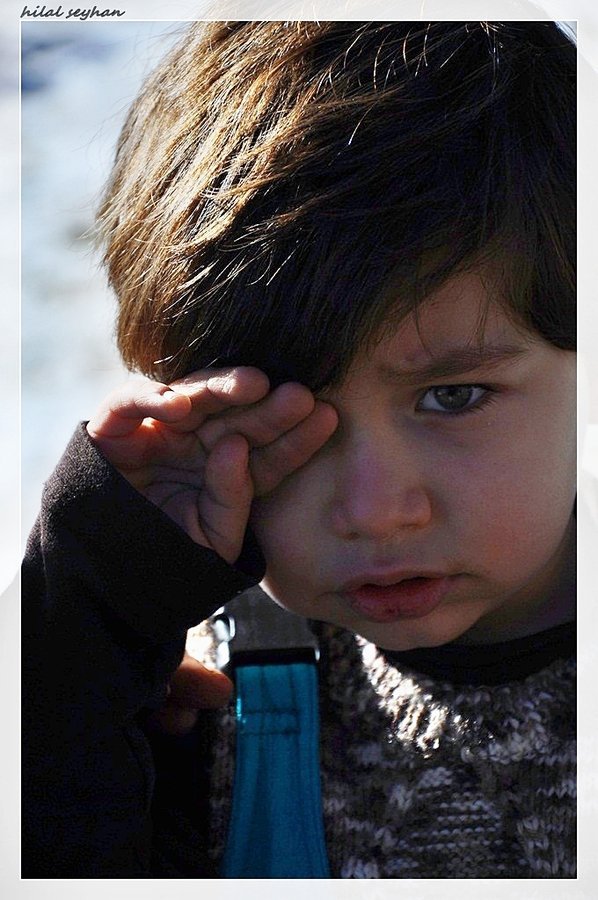 DSC_0037 [800x600].jpg