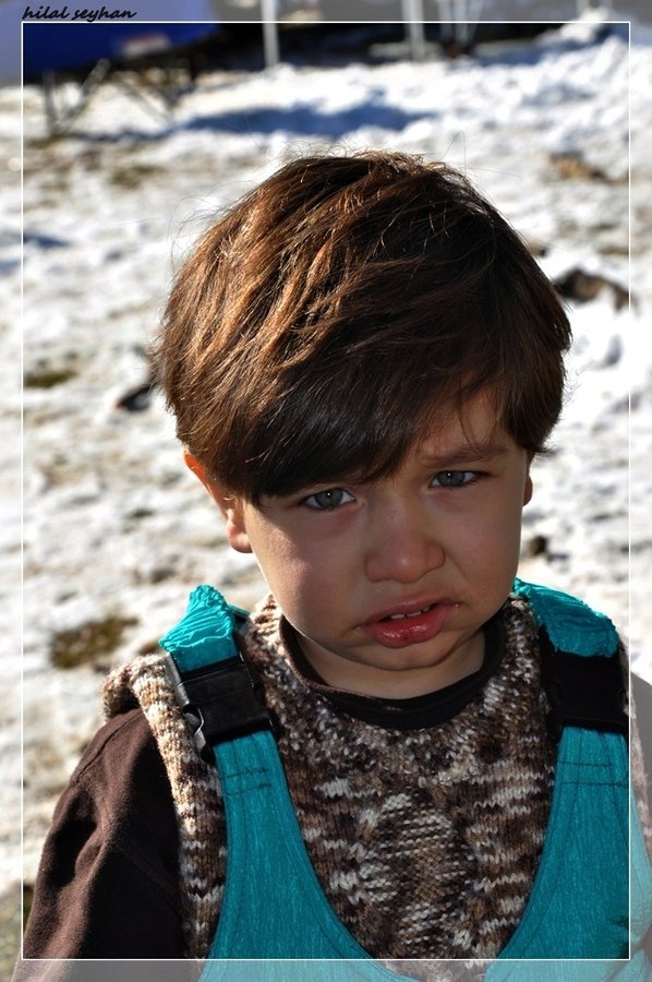 DSC_0038 [800x600].jpg