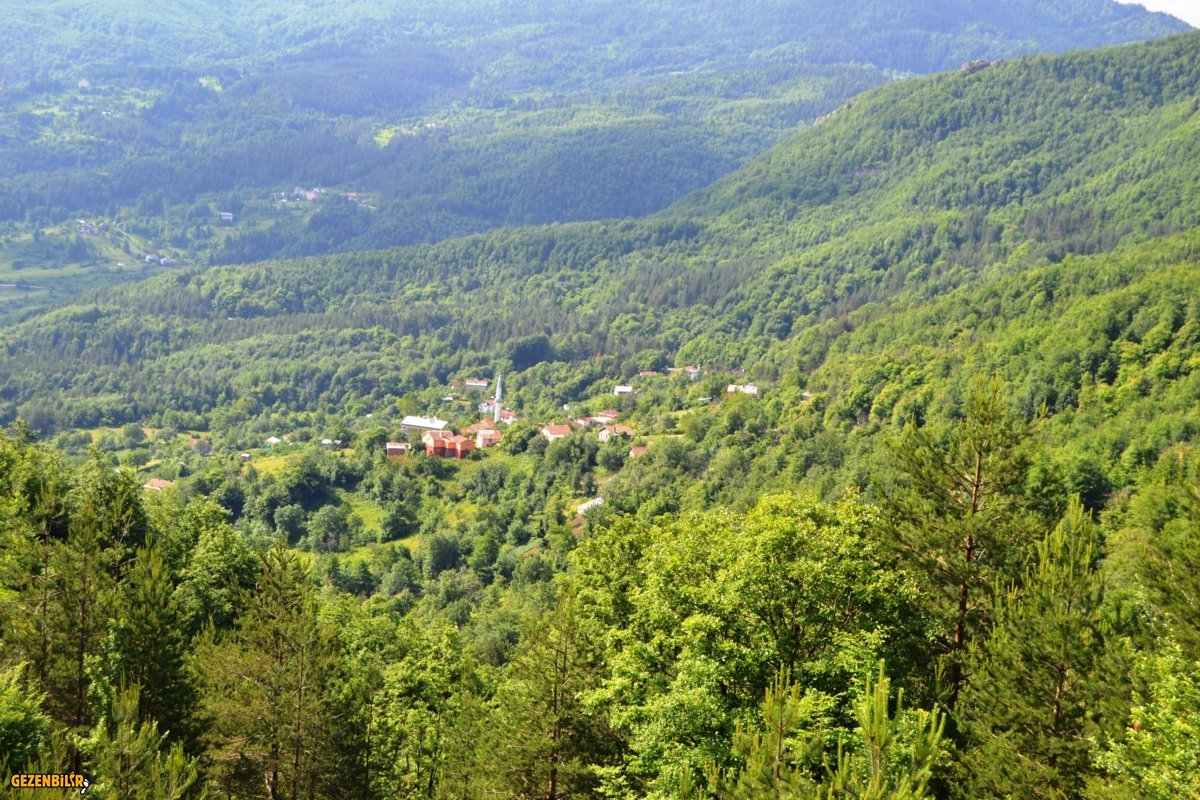 DSC_0041.JPG