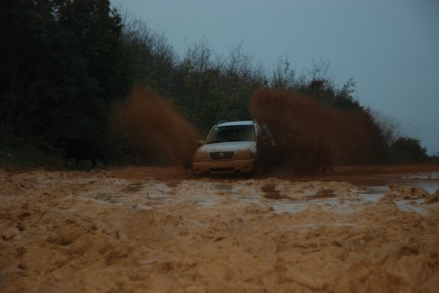 DSC_0041.jpg