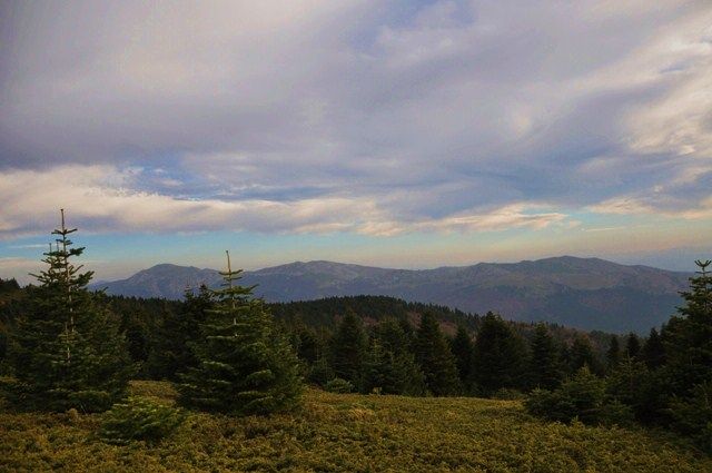 DSC_0042.jpg