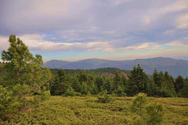 DSC_0043.jpg