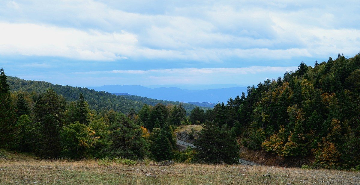DSC_0043.jpg