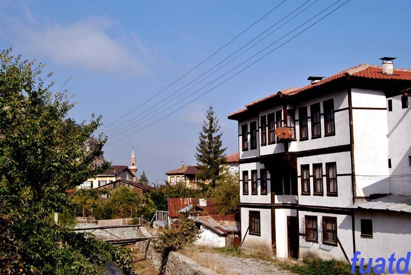 DSC_0047.jpg