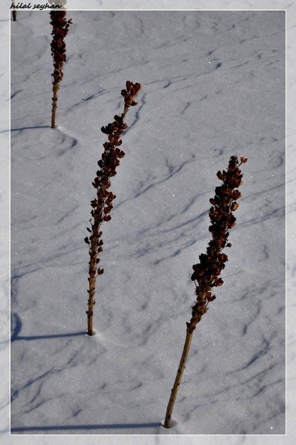 DSC_0048 [800x600].jpg