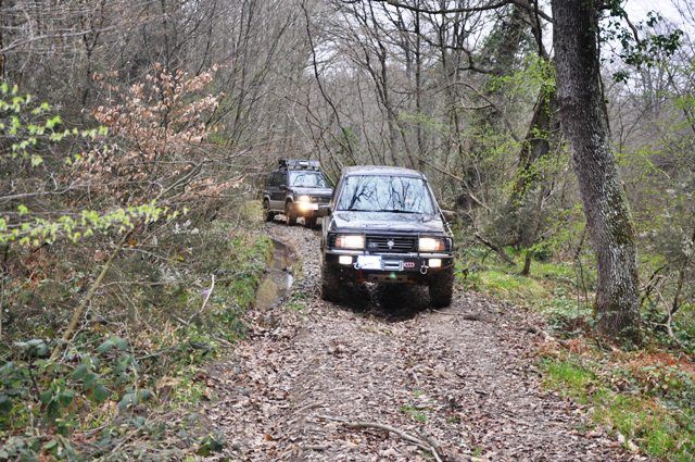 DSC_0050.jpg