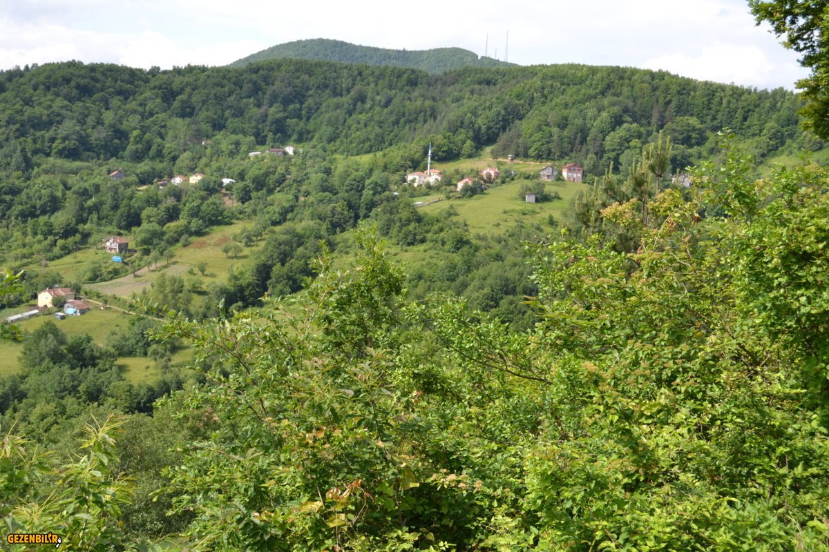 DSC_0050.JPG